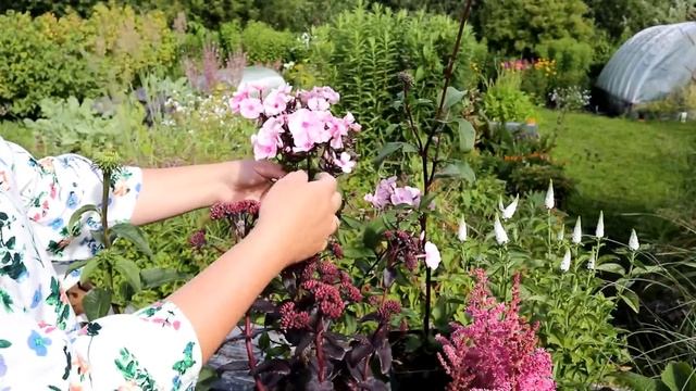 На что я трачу ваши деньги? / Большая закупка растений для сада смотреть онлайн