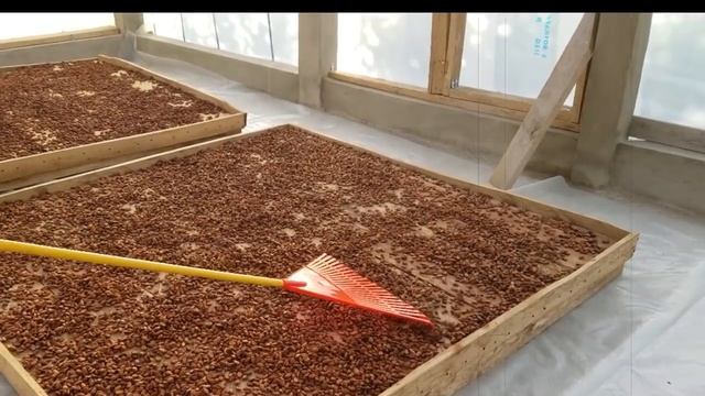Секрет живого шоколада - "Nikola Kalida". The secret of live chocolate смотреть онлайн