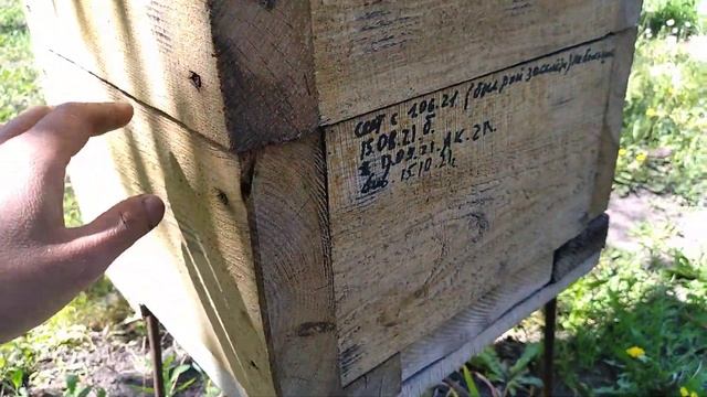 Расширяю Японские ульи... смотреть онлайн