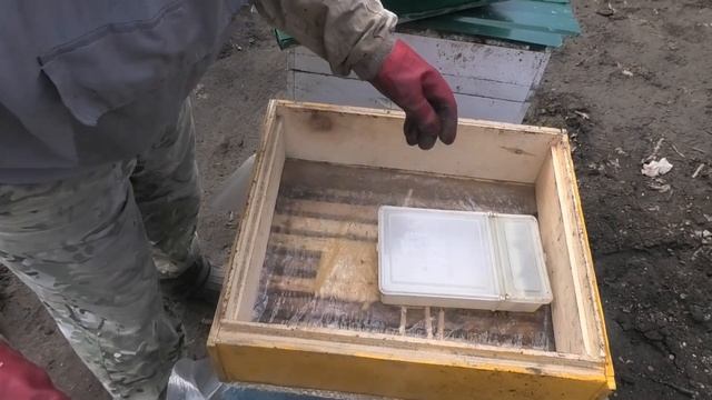 КАС  81 раздаю семьям, ранневесенняя профилактика иммунной системы пчелы.