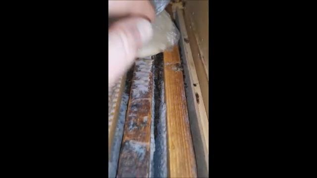 Зимовка 2021. Павильон Берендей 3Д на рамку дадан смотреть онлайн