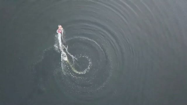 Fishboat 911 - прикормочный кораблик для рыбалки смотреть онлайн