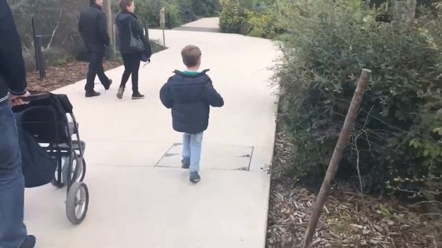 Прогулка по Парижскому Зоопарку (Super Alex - Супер Алекс) смотреть онлайн