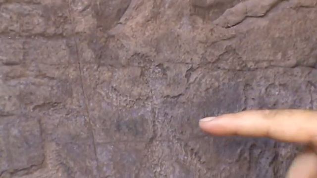Подкунинская писаница смотреть онлайн