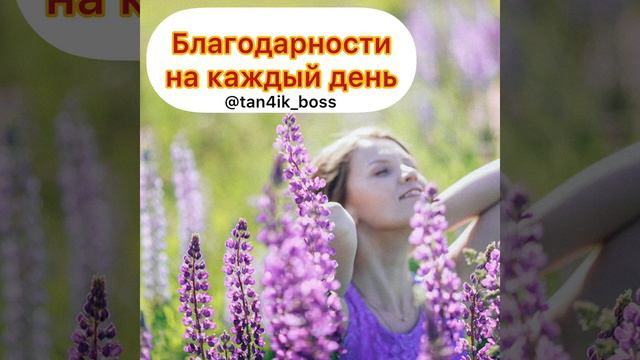 Благодарности на каждый день смотреть онлайн