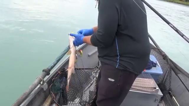 Аляска 3ий день смотреть онлайн