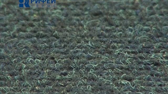 Сюжет Градусник разбился 25 06 12 смотреть онлайн