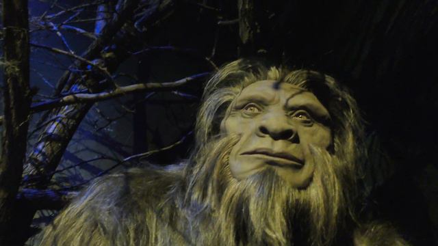 Beyond The Lens At Pigeon Forge Tennessee смотреть онлайн