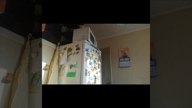 как я провожу день 2 часьть смотреть онлайн