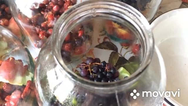 Приключения на Природе