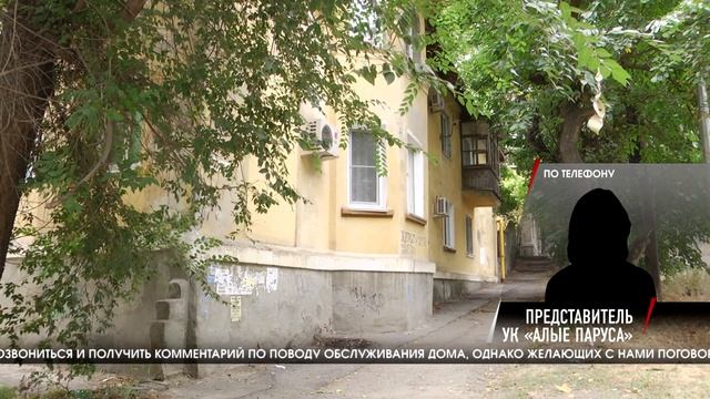 Волгоградский двор из-за бездействия УК превратился в непроходимые джунгли смотреть онлайн