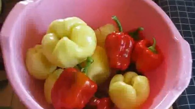 Салат с рисом. Бабушкины рецепты. смотреть онлайн