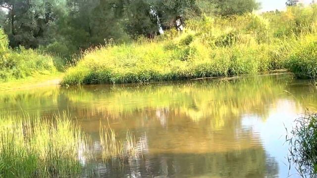 Пленэр 2022, пошли на пленэр, прогулка в деревне, дебилы:)