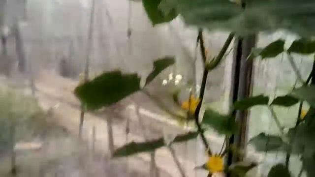 Тольятти. Гроза в июле и последствия... смотреть онлайн