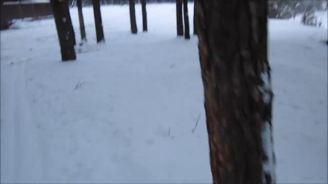 От Деснянки до Коляного озера на лыжах! смотреть онлайн