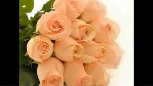 Анна Герман Вдоль по улице метелица метет