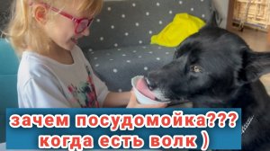 Волк Гул'дан и посудомойка не нужна 😁😝