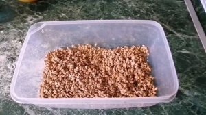 Проращивание солода в домашних условиях от "А" до "Я"