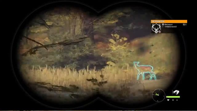 theHunter Call of the Wild - Охота с нуля "Хиршфельдн" - фото Лани для тётки (стрим, Ps4) (18+) ч.0 смотреть онлайн