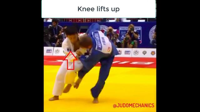 #JUDOMECHANICS #125 | UCHIMATA SUKASHI BY NAOHISA TAKATO смотреть онлайн