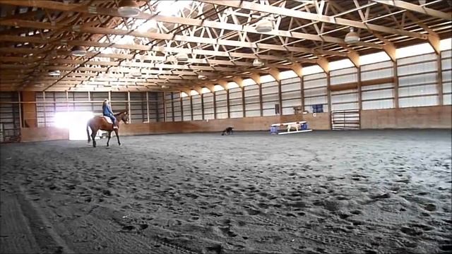 java video смотреть онлайн