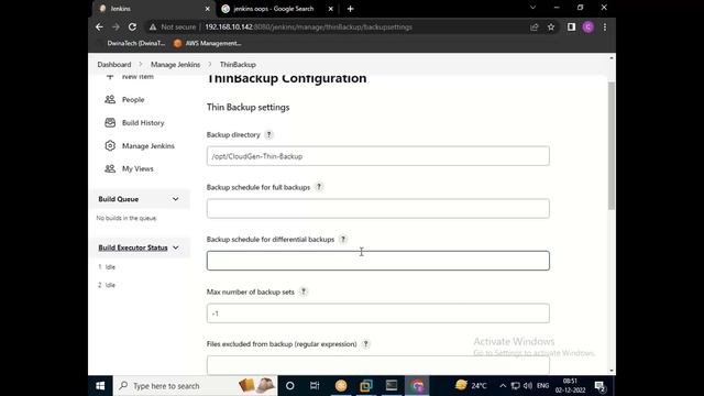 Jenkins Backups смотреть онлайн