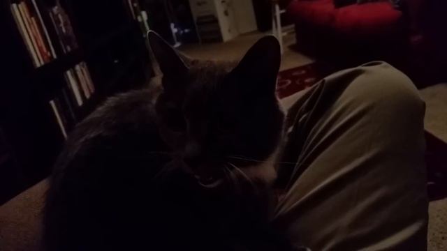 Chan Attacks, Pt 1