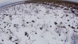 ОХОТА НА ЗАЙЦА!Снег с дождём а мы идём!ТОЗ 34.