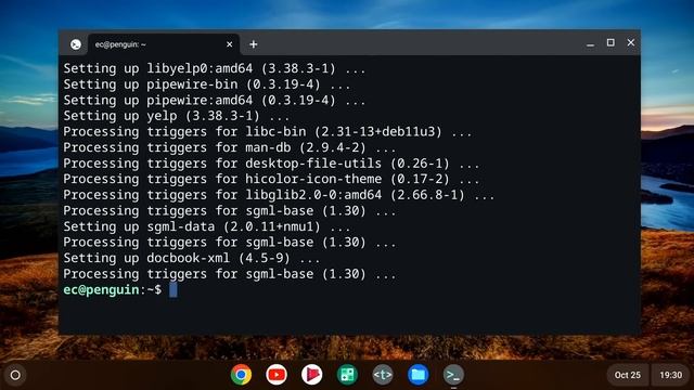 Chrome OS Flex: Installing Linux Apps & 4 Month Review of Google’s New PC OS смотреть онлайн