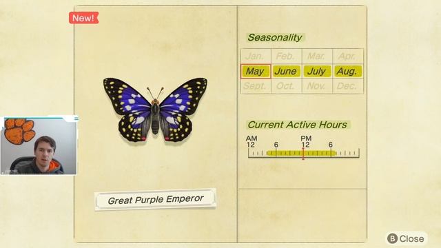 How to Catch a Great Purple Emperor | Great Purple Emperor ACNH | ACNH Great Purple Emperor смотреть онлайн