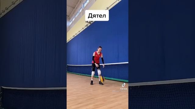 Типы играков в Волейболе