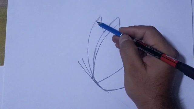 how to draw butterfly step by step/ pencil drawing of butterfly смотреть онлайн