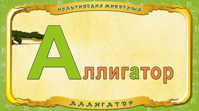 Мультипедия животных - Буква А - Аллигатор смотреть онлайн