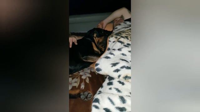 Самое любимое занятие смотреть онлайн