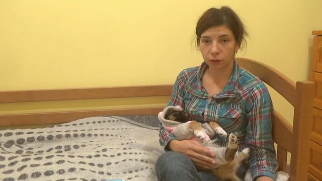 Как хранить хлеб дома чтобы он дольше не черствел, плесневел не в деревянной хлебнице, холодильнике смотреть онлайн