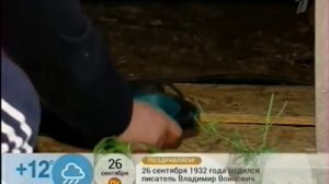 Как защитить дачу от воров (часть 1)