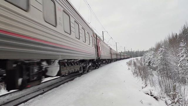 ЭП2К-032 со скорым поездом №078Я С.Петербург - Воркута следует по перегону Павлово-на-Неве - Горы смотреть онлайн