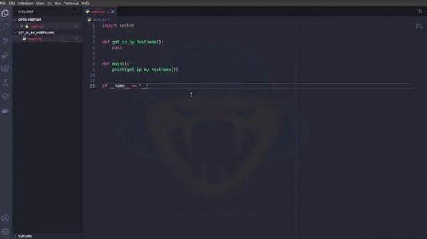 Получаем IP-адрес сайта с помощью Python _ Как узнать IP-адрес сайта.mp4