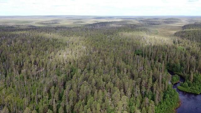 КОЛЬСКИЙ ПОЛУОСТРОВ. РЫБАЛКА В МУРМАНСКЕ. ОТДЫХ В РОССИИ смотреть онлайн