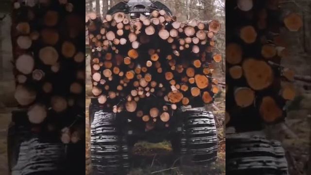Заготовка древесины смотреть онлайн