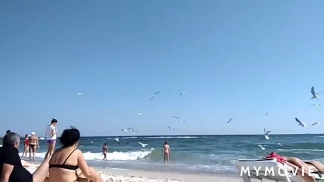 ОДЕССА ЖЕМЧУЖИНА У МОРЯ. 16.09.2020. смотреть онлайн