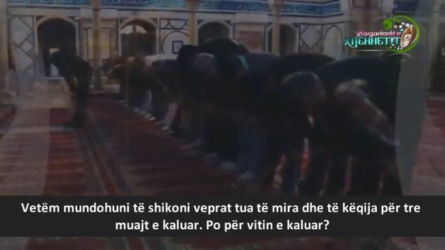 Do ta shikosh të gjithë jetën tënde para se të vdesësh ! Emocionale ! смотреть онлайн