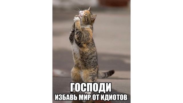 Лютые приколы. Костюмы Супергероев. Новые мемы смотреть онлайн