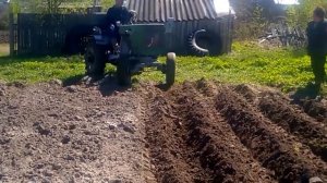 Самодельный трактор.  Посадка картошки под плуг