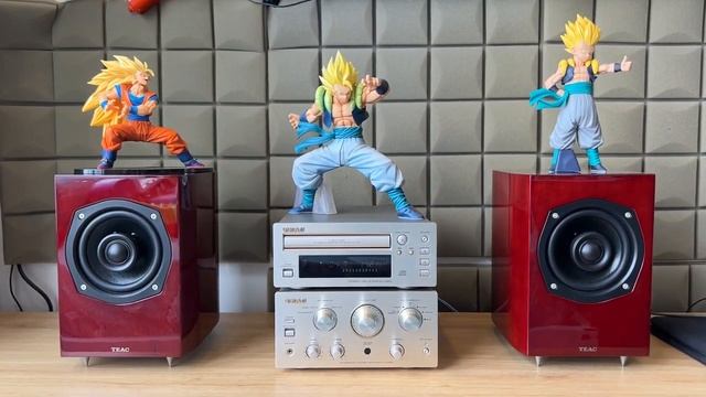 ? Teac H300 + Teac PD-H300 + Teac S300NEO