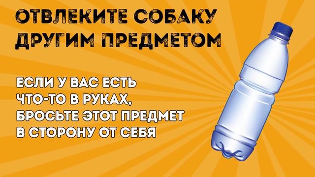 Что Делать, Если на Вас Напала Собака? смотреть онлайн