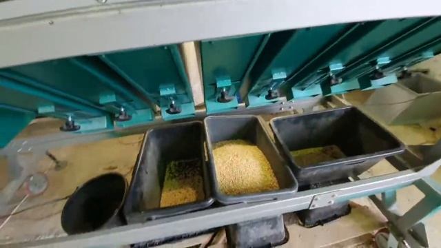 Азовсельмаш: Отбор ячменя на семена с помощью зерноочистительной машины Азимут смотреть онлайн