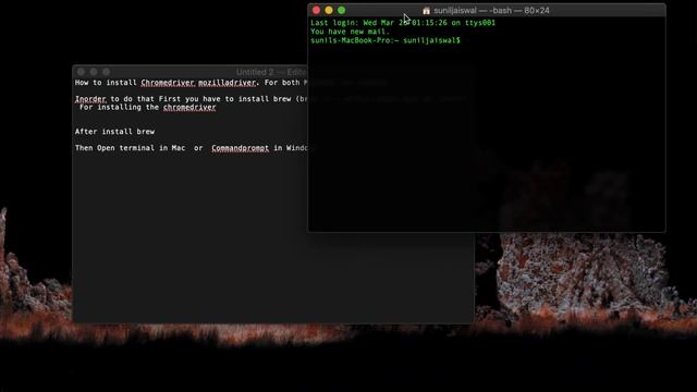 Cmd to install chrome/mozilla driver on Mac/windows смотреть онлайн