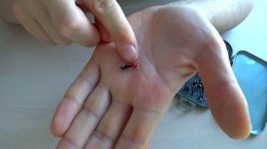 БЕЗМОТЫЛКА - САМЫЕ УНИВЕРСАЛЬНЫЕ МОРМЫШКИ! Как выбрать мормышку и чёртик - правильный размер крючко