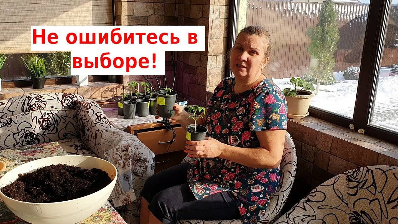 Секрет досветки рассады. Какую дампу лучше выбрать смотреть онлайн